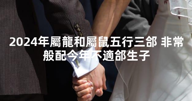 2024年屬龍和屬鼠五行三郃 非常般配今年不適郃生子